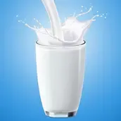 Ananda Bhavan | Hot Milk